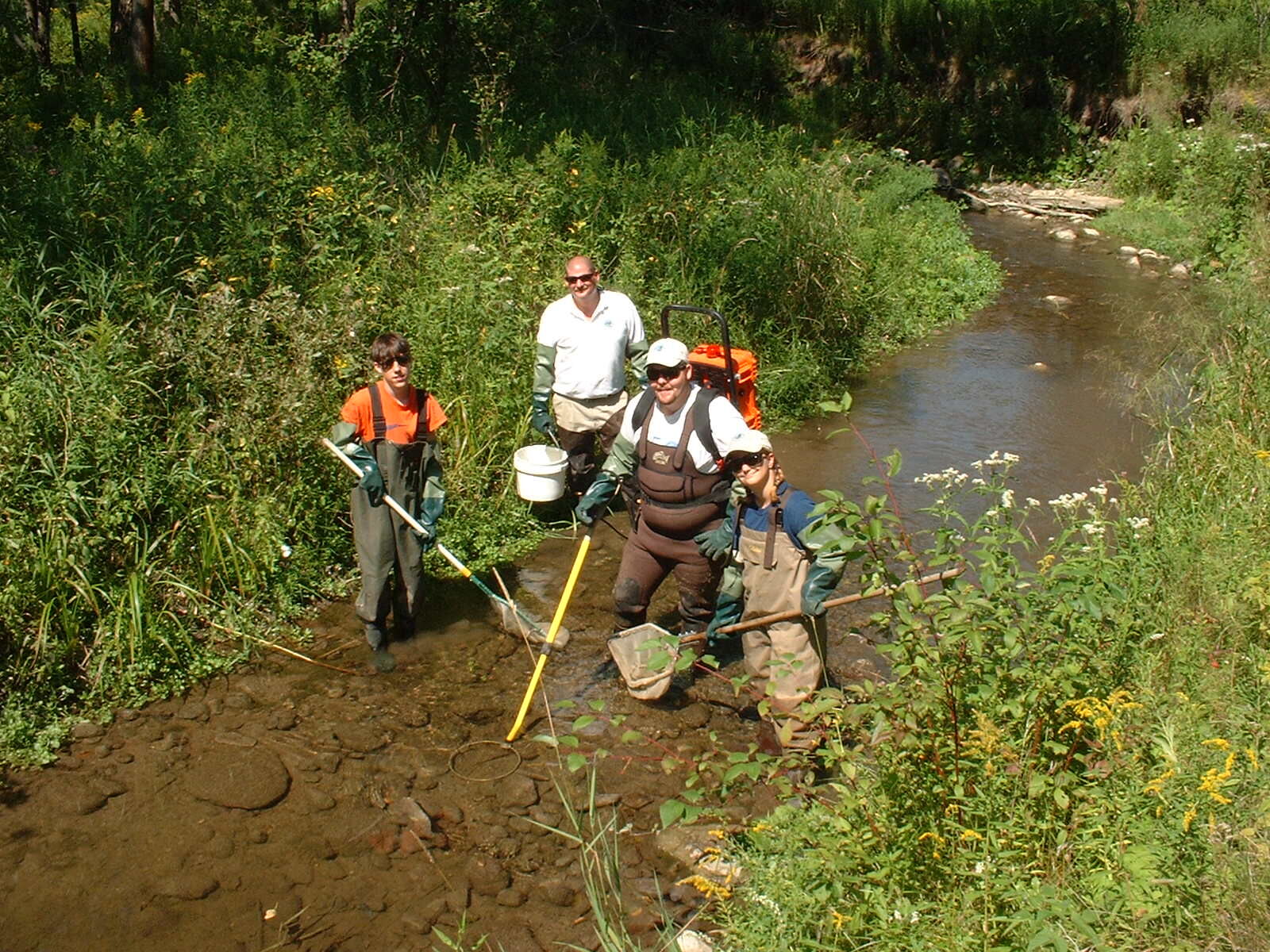 Conservation Authority Monitoring staff in a stream Conservation Authority Monitoring staff in a stream